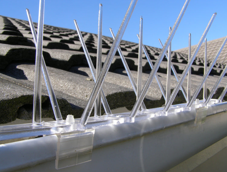 Bird spike gutter clips on roof to chase birds away from the gutter