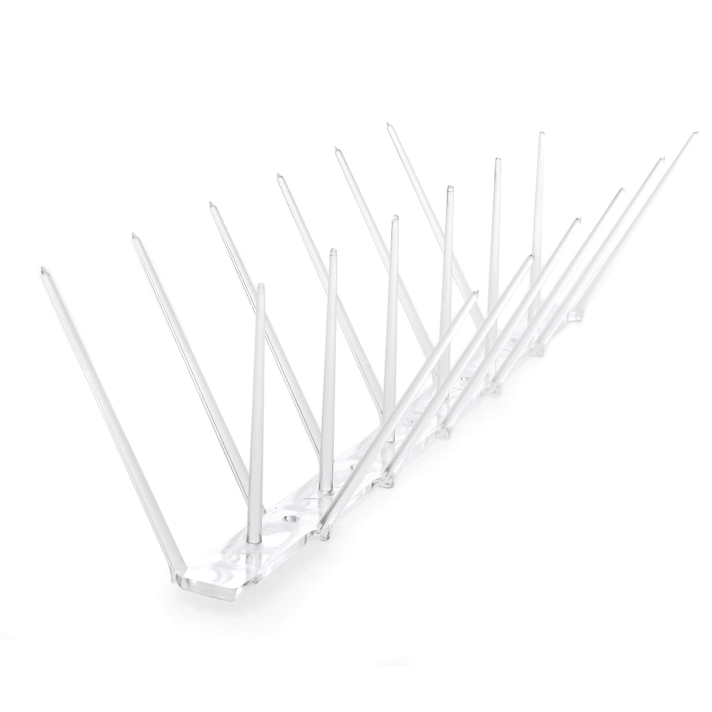 Clear Plastic Bird Spike