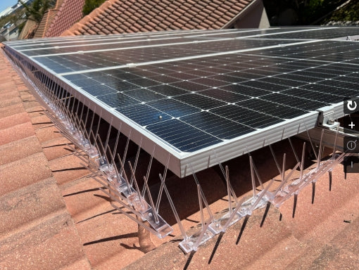 Clear bird spike for solar panels