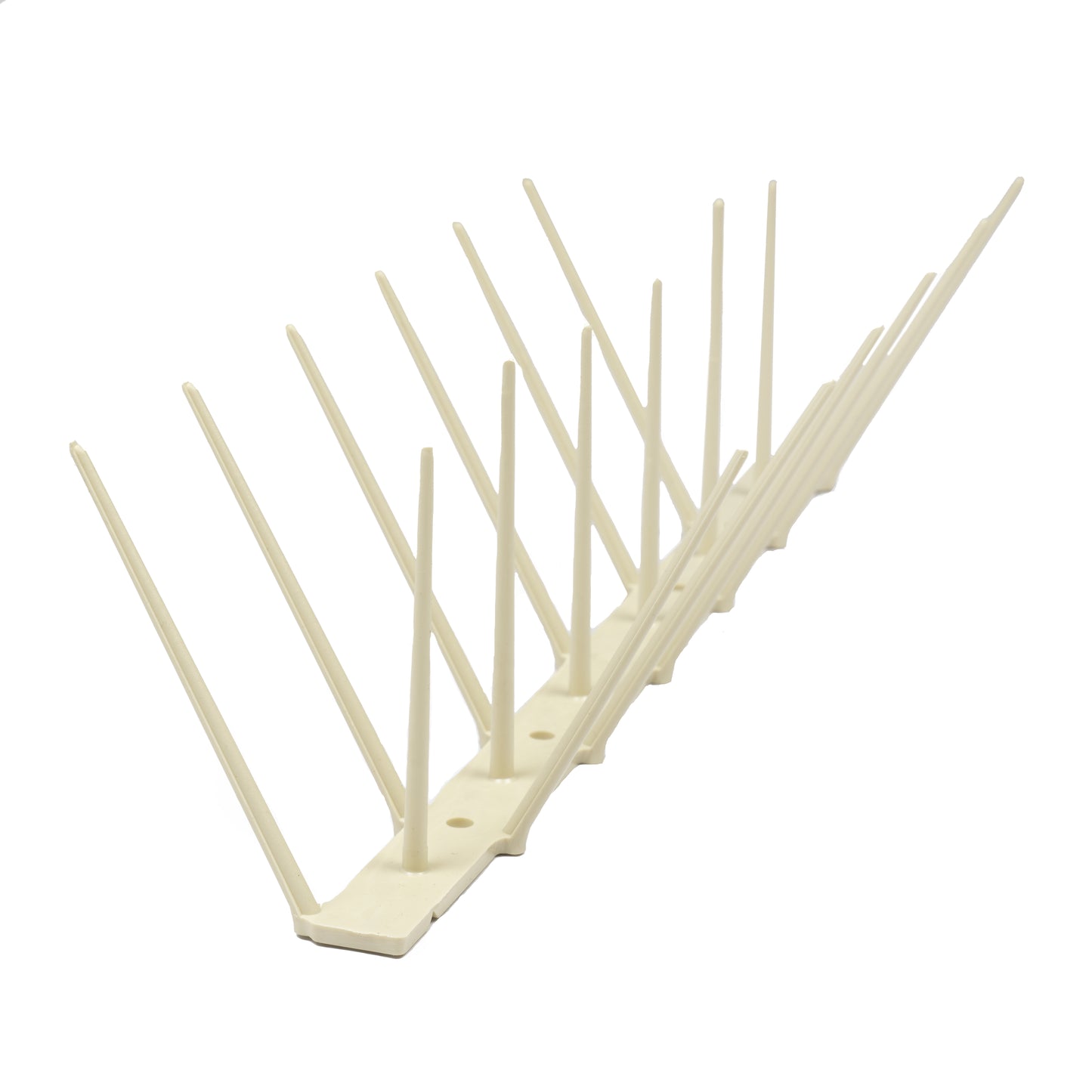 Cream Bird Spike - Low Price R58.95/m excl VAT