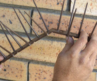 Brown Bird Spike - Low Price R58.95/m excl VAT