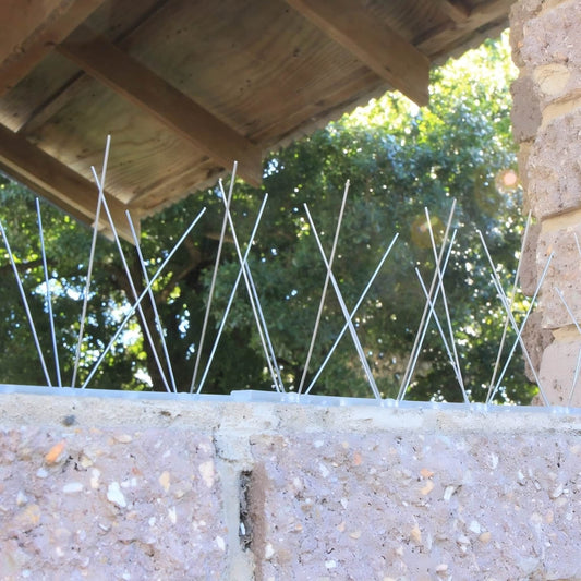 Stainless steel bird spikes installed on a brick wall near a lapa roof to protect outdoor areas from bird mess.