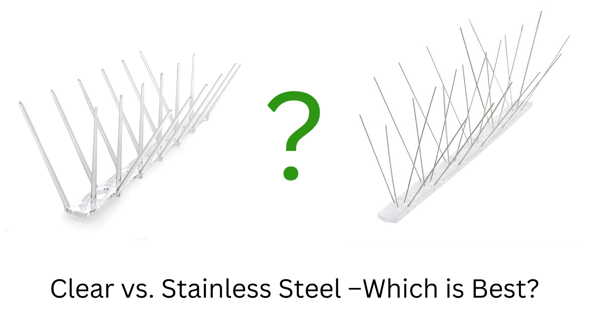 Clear vs. Stainless Steel Bird Spikes: The Showdown