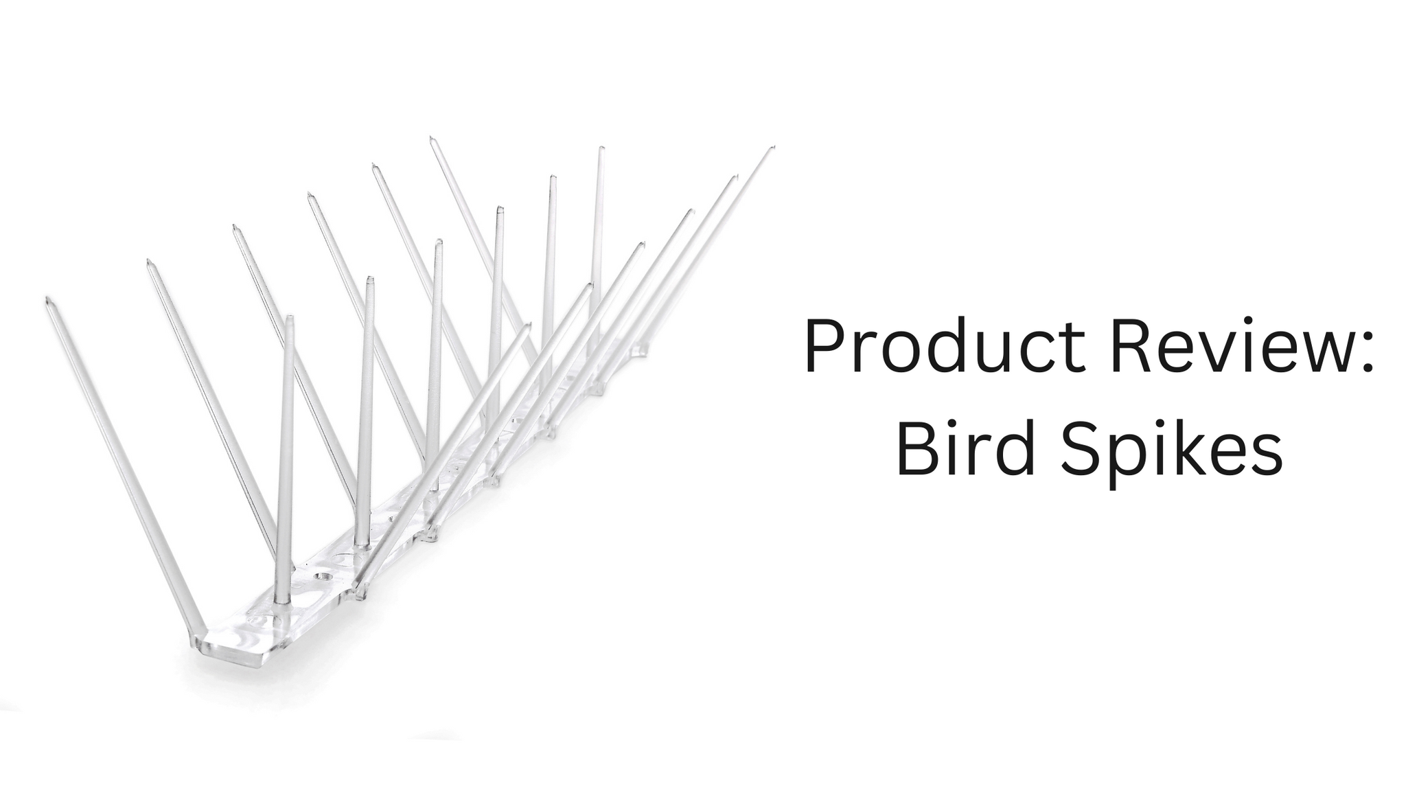 Product Review: Bird Spikes - The Ultimate Bird Deterrent