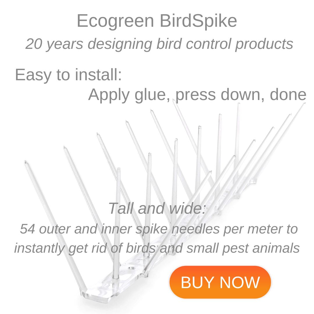 Pest Bird Spikes