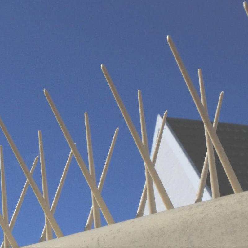 Bird Control Products For Hardware Stores
