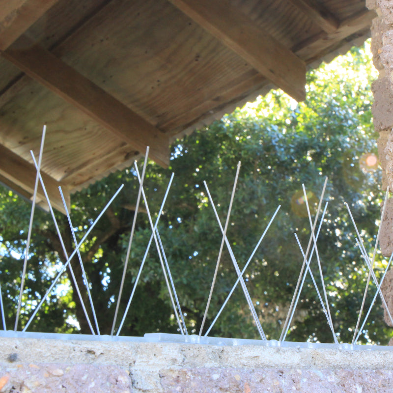 Bird Control Products