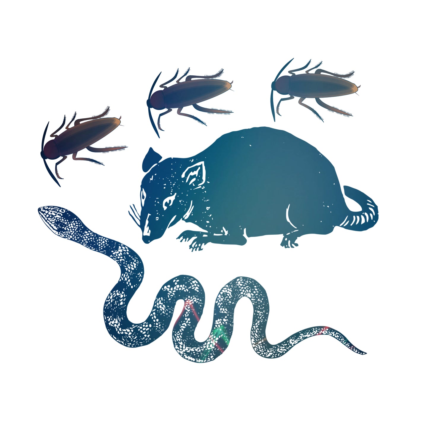 Rats, Moles, Snakes and Cockroach Pest Control