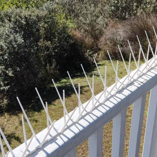 A row of white Ecogreen bird spikes humanely preventing pest birds from landing on a balcony with shrubs in the background.
