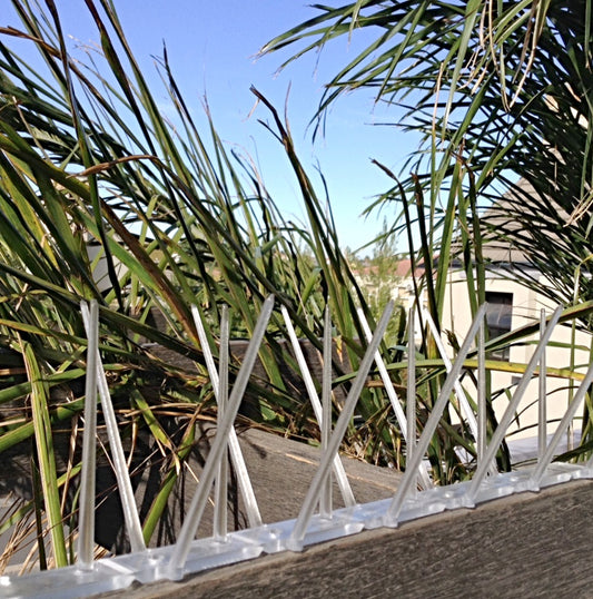 Clear Bird Spike – Low Price R55.95/m excl. VAT