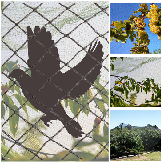 bird netting to protect fruit trees and gardens