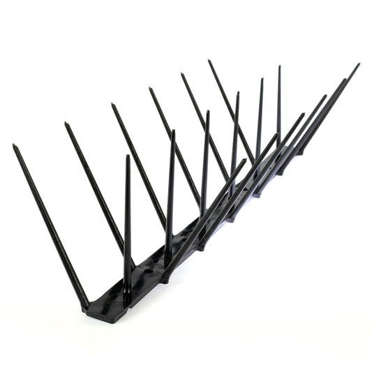 Black Bird Spike - Low Price R58.95/m excl VAT