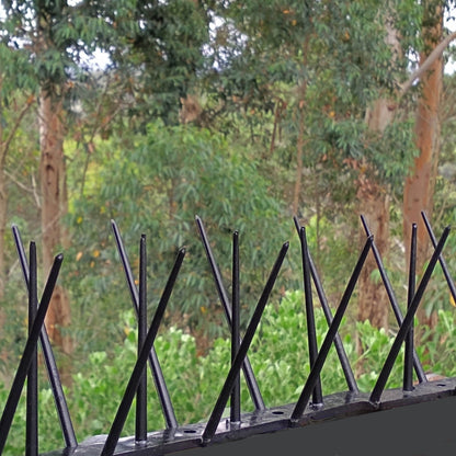 Black Bird Spike - Low Price R58.95/m excl VAT