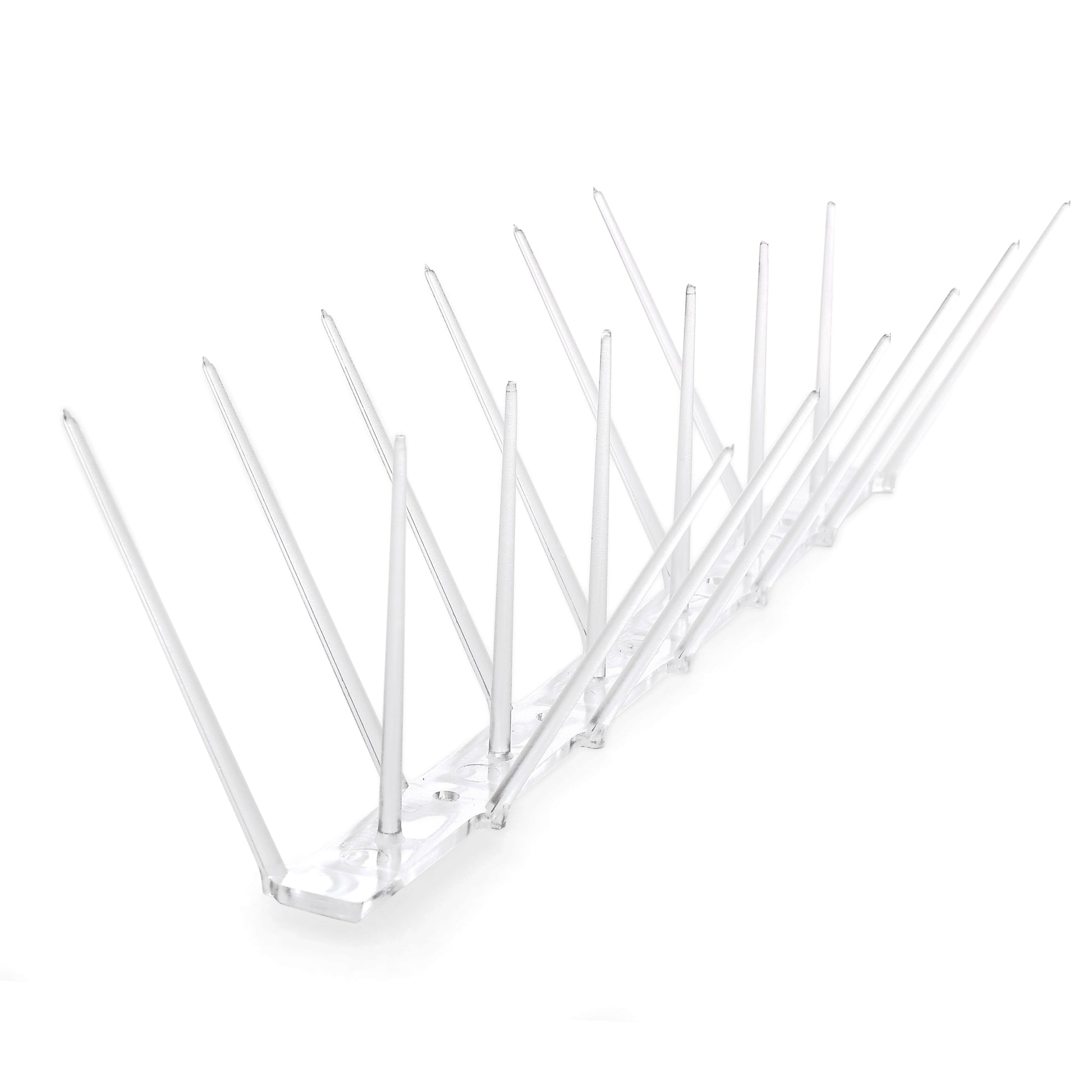 Clear Plastic Bird Spike