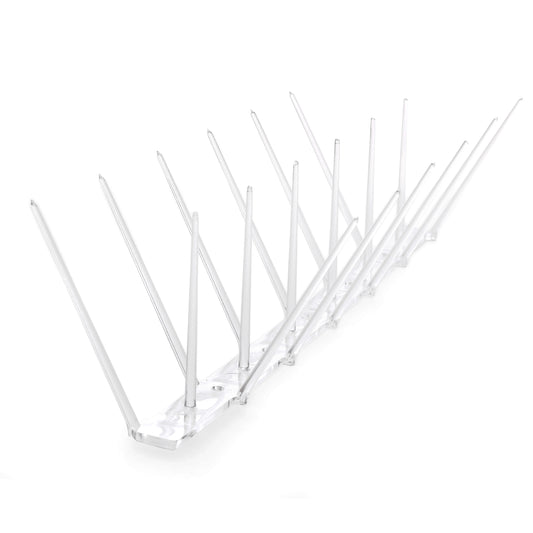 Clear Plastic Bird Spike