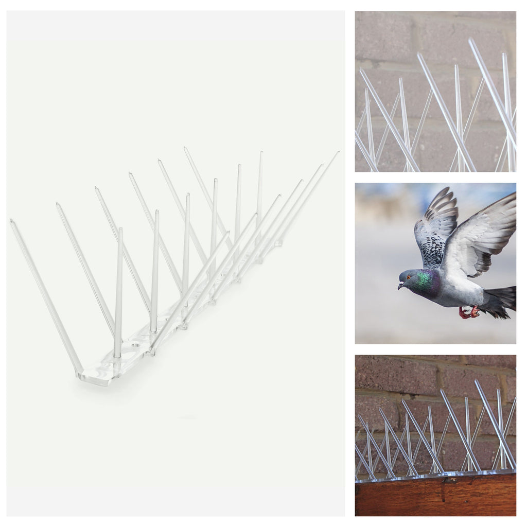 Clear Bird Spike – Low Price R55.95/m excl. VAT
