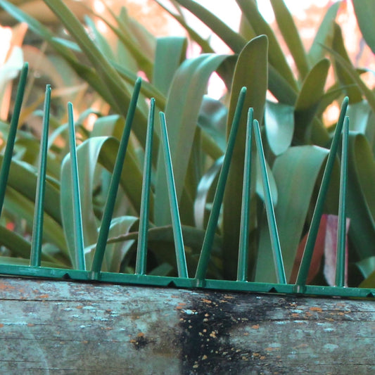 Green Bird Spike - Low Price R58.95/m excl VAT