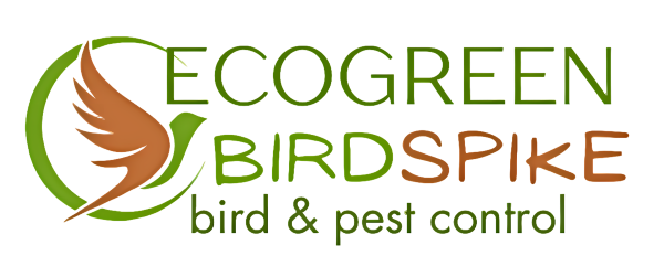 Ecogreen Birdspike