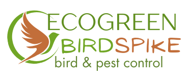 Ecogreen Birdspike