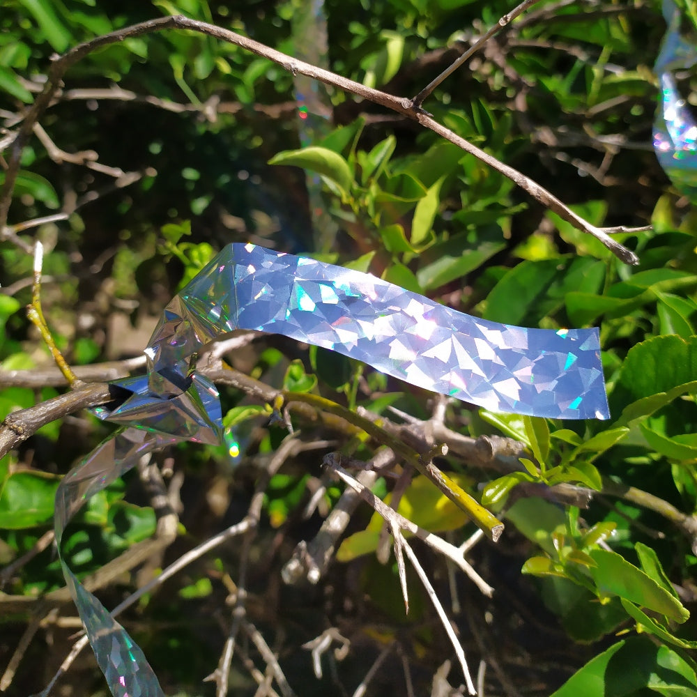 Reflects in sun and chases birds away from your fruit trees