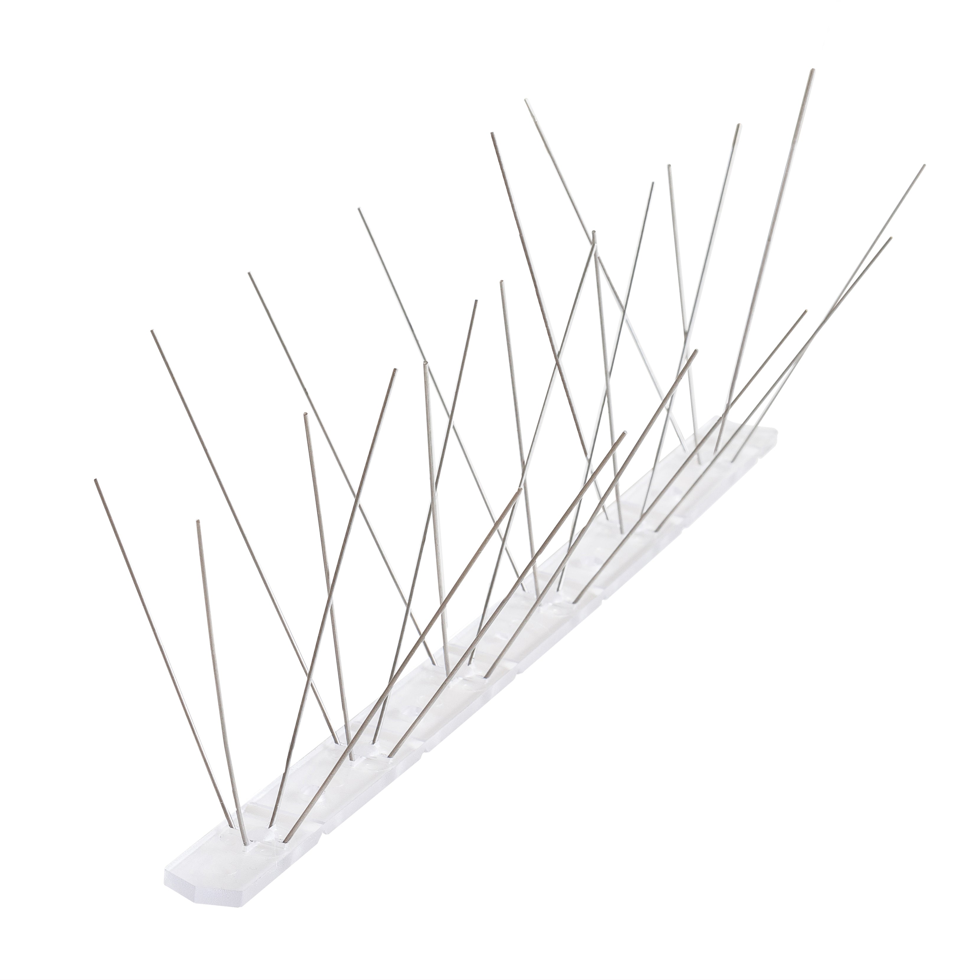 Stainless Steel Bird Spike - R66.95/m excl VAT
