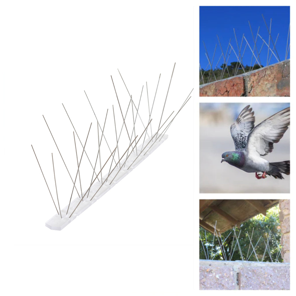 Stainless Steel Bird Spike - R63.95/m excl VAT