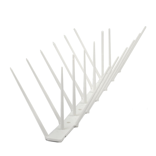 White Bird Spike - Low Price R58.95/m excl VAT
