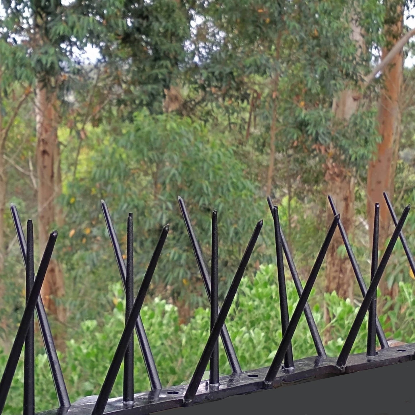 Black bird spikes installed on a grey garden wall, blending into the background for a discreet residential bird proofing solution.