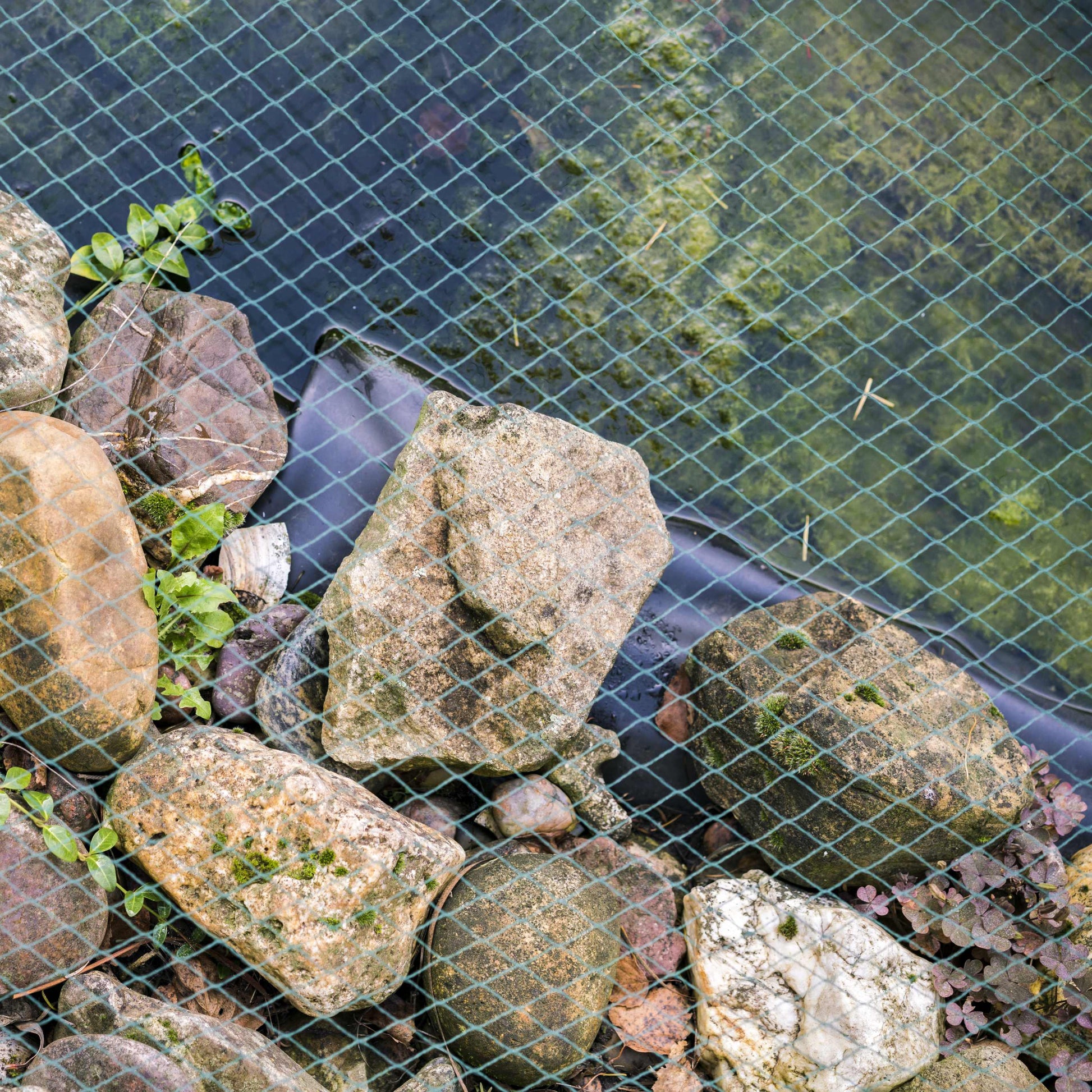 bird netting for fish ponds