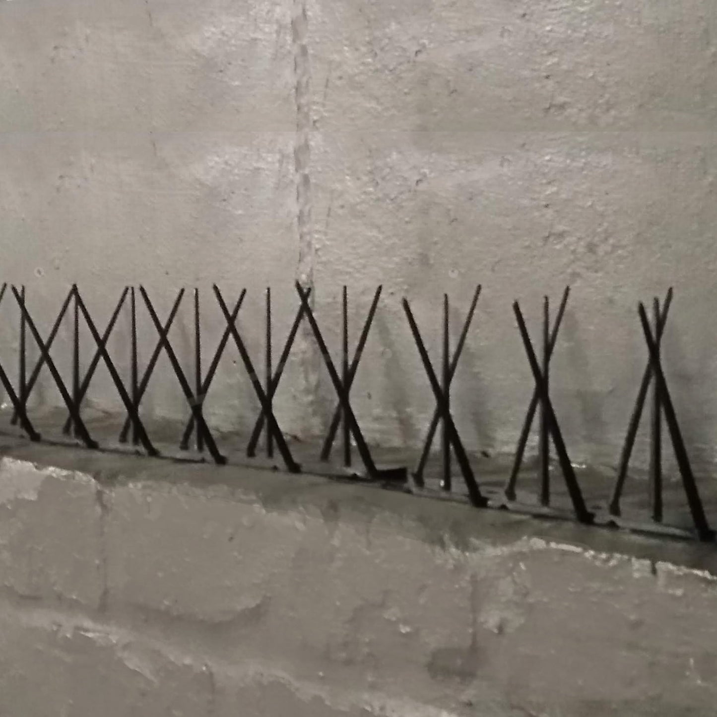 Durable black bird spikes installed on an industrial brick ledge to prevent pest birds from roosting in warehouses.