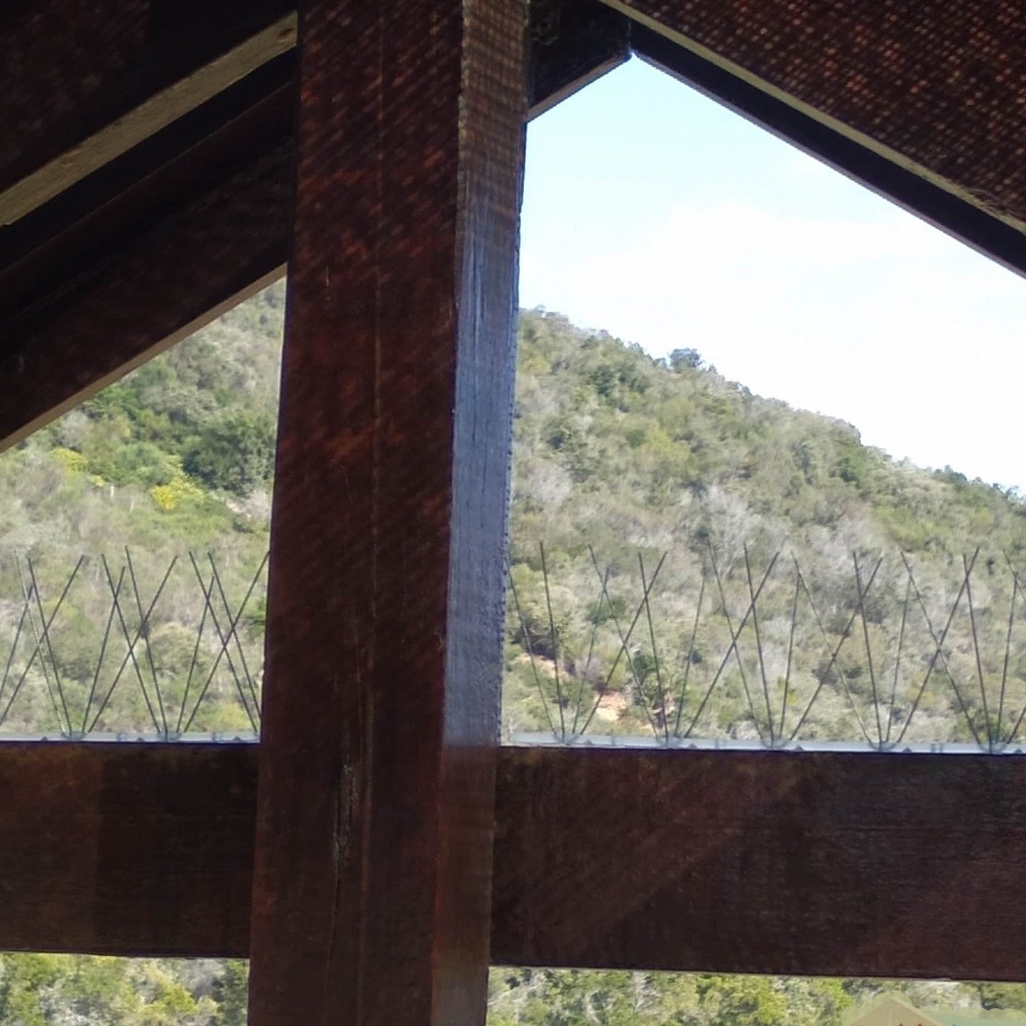 Stainless steel bird spikes installed on a rustic wooden beam, blending into the garden foliage to remain unobtrusive.