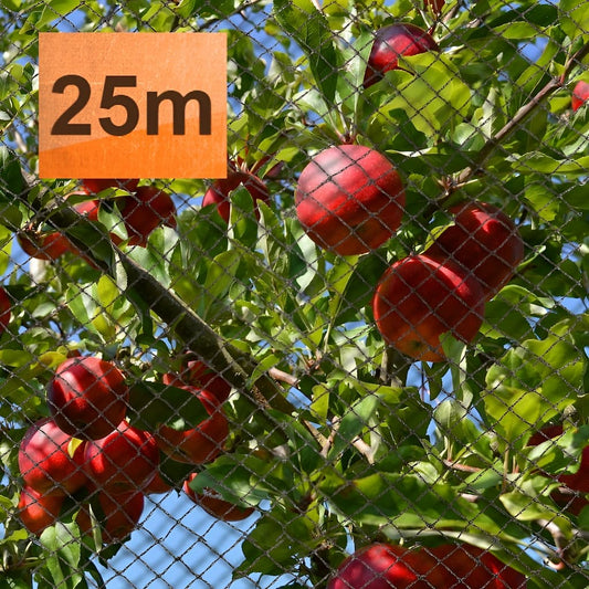 Ecogreen 25m bird netting draped over fruit tree to protect the fruit from birds.