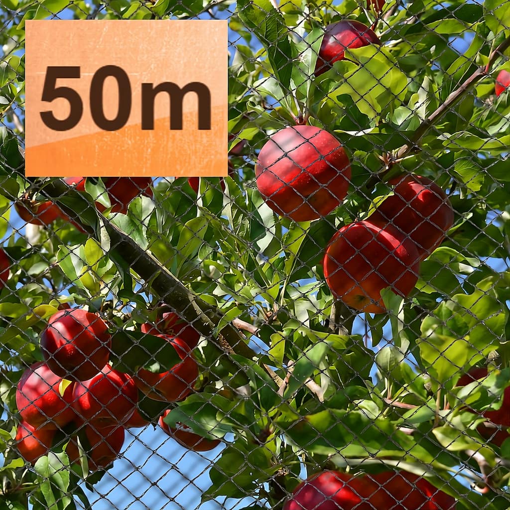 Ecogreen 50m bird netting draped over fruit tree to protect the fruit from birds.