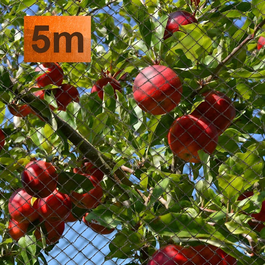 Ecogreen 5m bird netting draped over fruit tree to protect the fruit from birds.