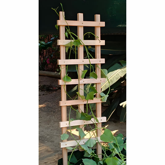 Green climbing vine growing up the natural wood Ecogreen garden plant trellis.