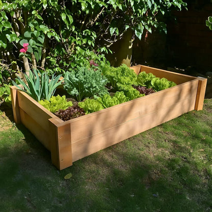 Untreated Saligna hardwood raised garden bed, durable and naturally rot-resistant, filled with healthy leeks and lettuce for fresh home gardening.