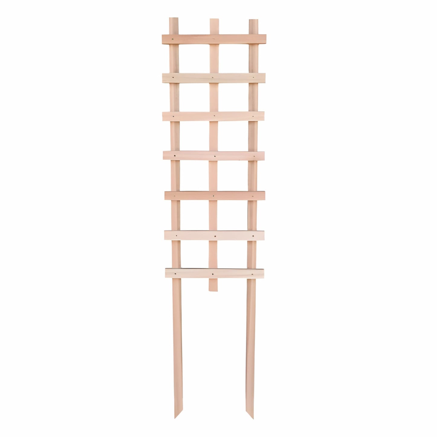 Full view of the Ecogreen Saligna hardwood garden plant trellis on a white background.