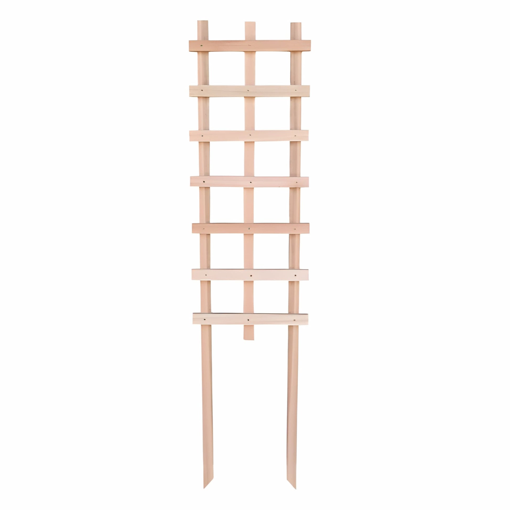 Full view of the Ecogreen Saligna hardwood garden plant trellis on a white background.