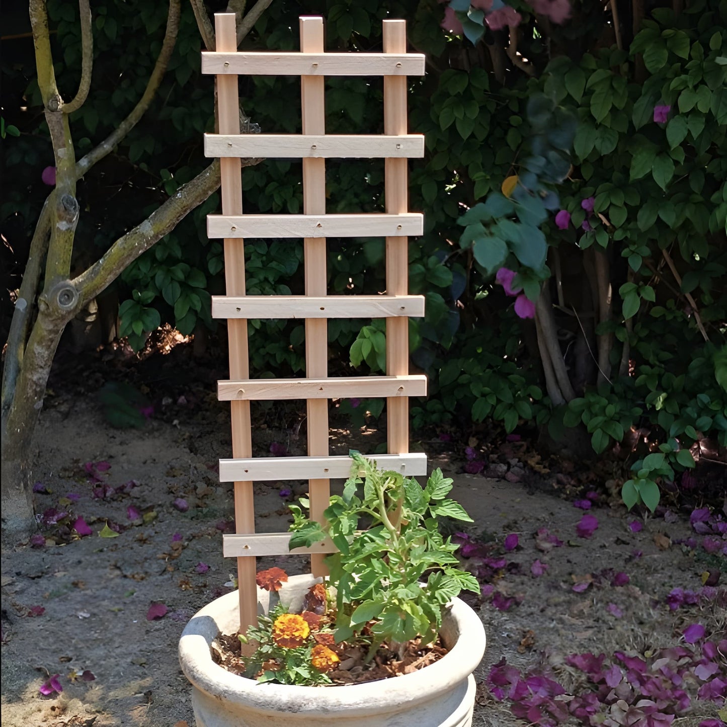 Ecogreen wooden garden trellis supporting a young tomato plant in an outdoor garden pot.
