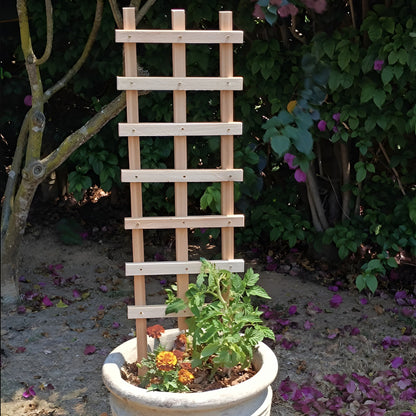 Ecogreen wooden garden trellis supporting a young tomato plant in an outdoor garden pot.