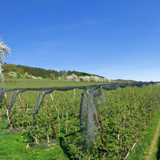 bird netting agriculture farms orchards