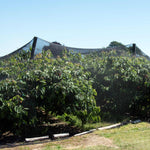 black bird netting over fruit trees