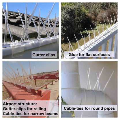 A collage showing how to get rid of pigeons and birds using Ecogreen bird spikes on a balcony, airport, drain pipe, and gutter.