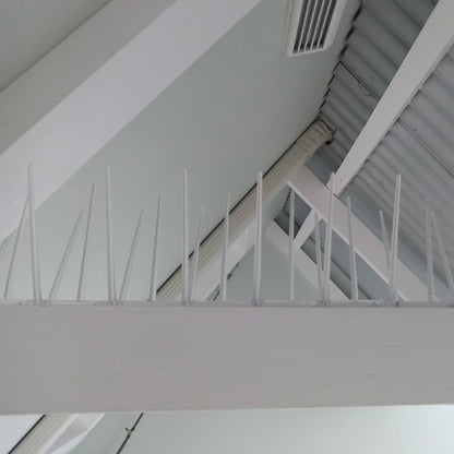 A commercial bird proofing solution showing how to get rid of pigeons in a warehouse using Ecogreen spikes on roof trusses.