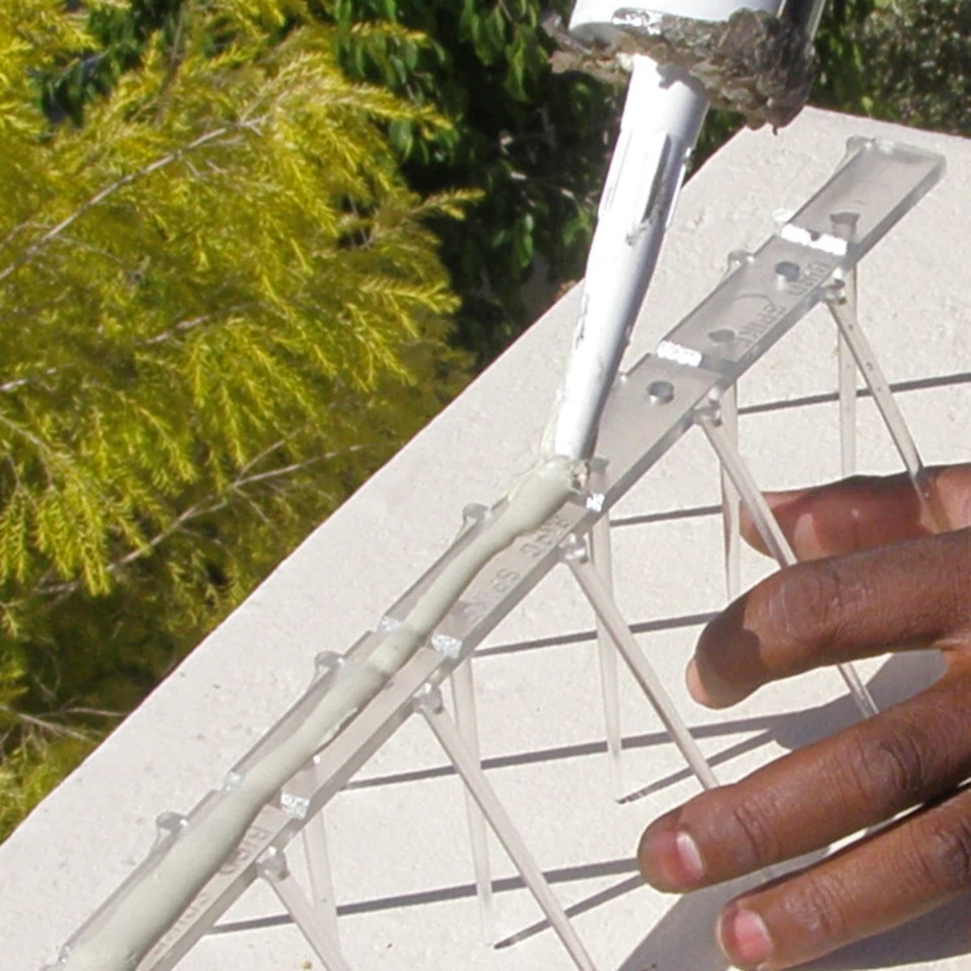 A close-up photo showing how to install bird spikes by applying a bead of quality construction adhesive to the base of an Ecogreen spike.
