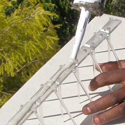 A close-up photo showing how to install bird spikes by applying a bead of quality construction adhesive to the base of an Ecogreen spike.