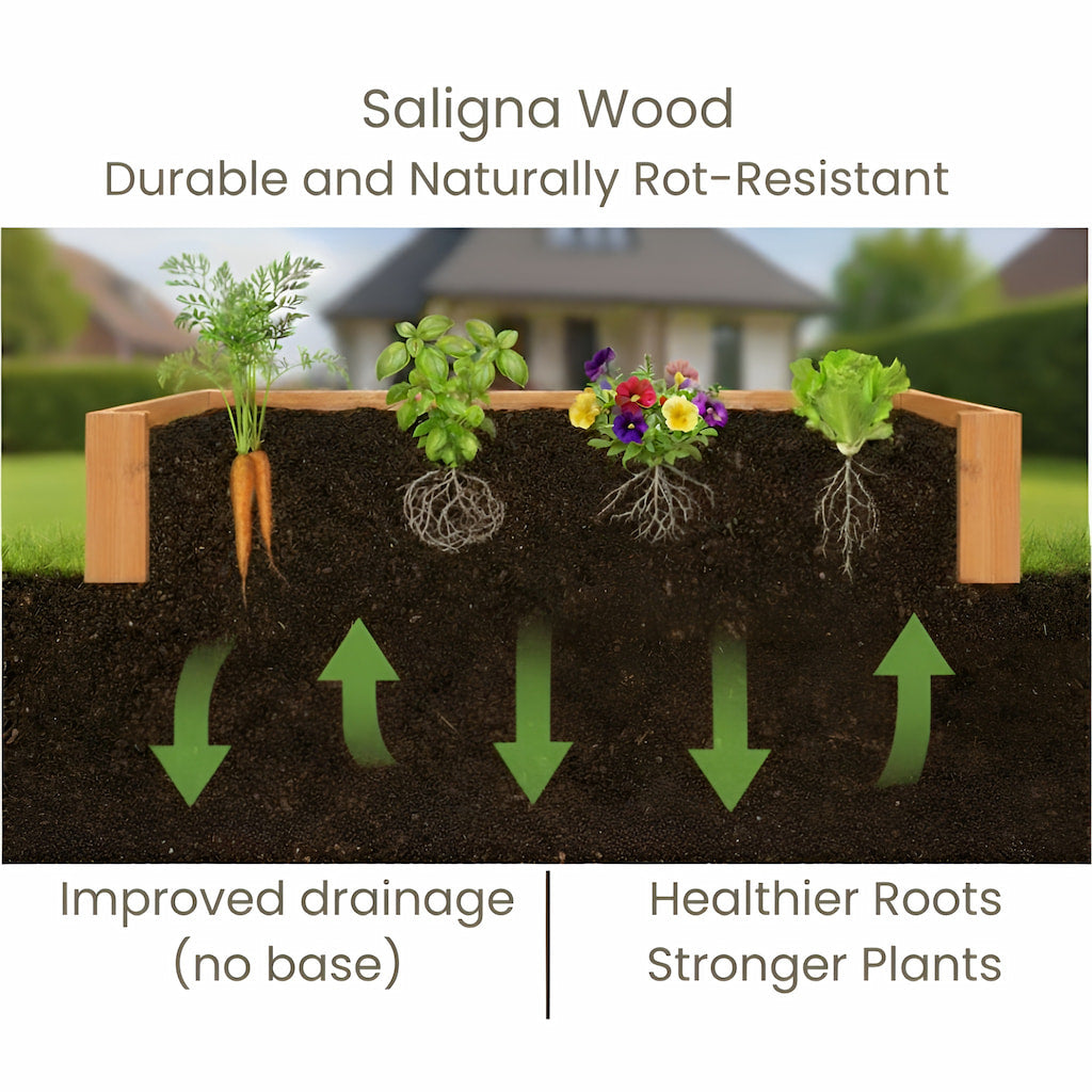 Detailed diagram showing optimal root growth and improved drainage in the untreated Saligna raised garden bed (no chemical leaching)