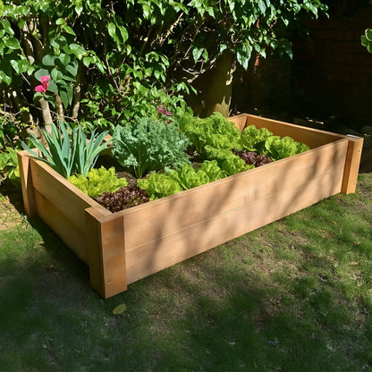 Untreated Saligna hardwood raised garden bed, durable and naturally rot-resistant, filled with healthy leeks and lettuce for fresh home gardening.