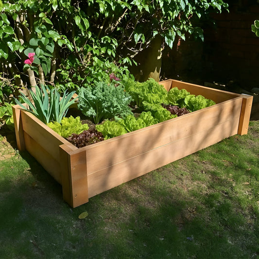 Untreated Saligna hardwood raised garden bed, durable and naturally rot-resistant, filled with healthy leeks and lettuce for fresh home gardening.