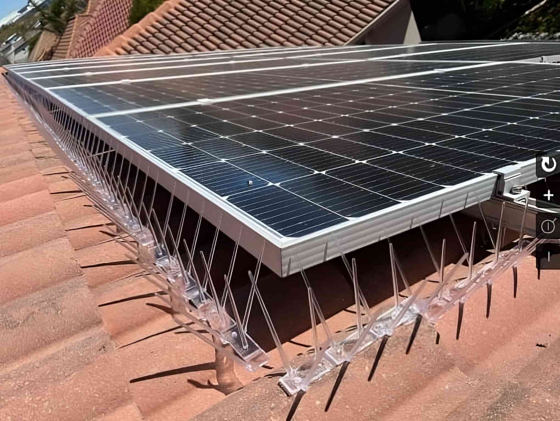 Clear Ecogreen bird spikes used for solar panel bird proofing, preventing pigeons from nesting underneath the panels.